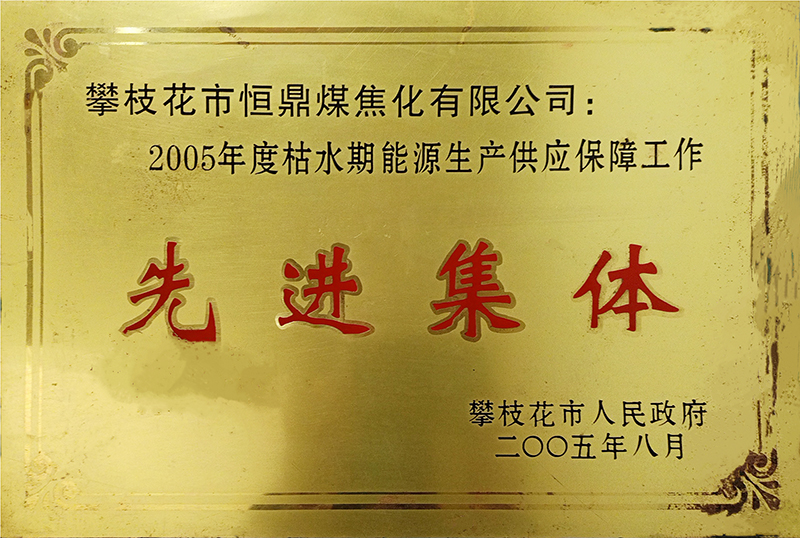 200508 2005年度枯水期能源生产供应保障工作先进集体.jpg