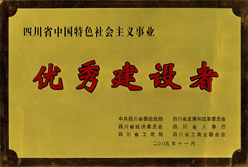 200511 四川省中国特色社会主义事业优秀建设者.jpg