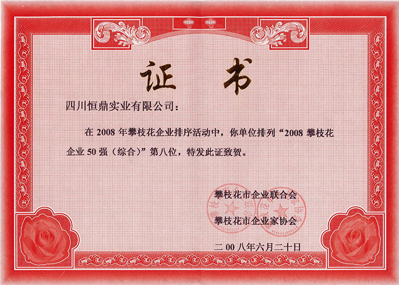 200806 2008攀枝花企业50强（综合）第八位.jpg