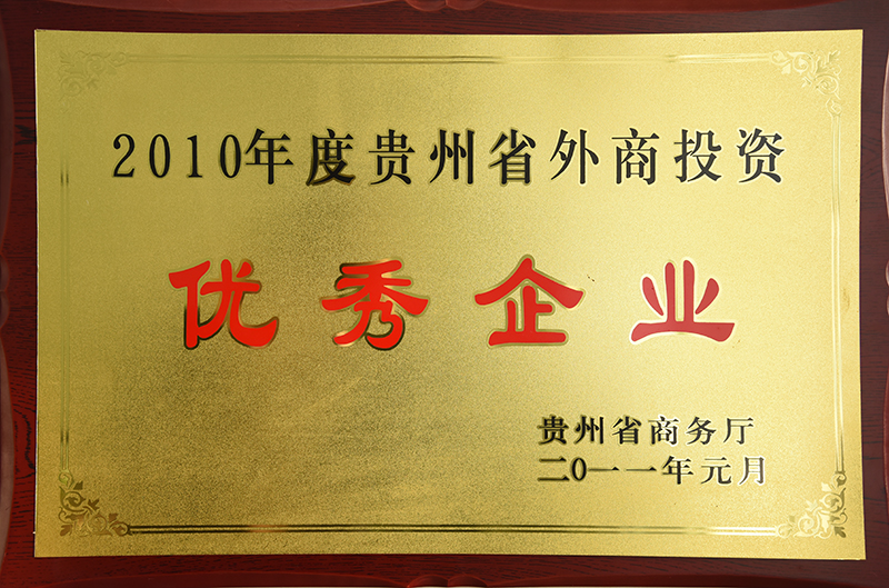 201101 2010年度贵州省外商投资优秀企业.JPG