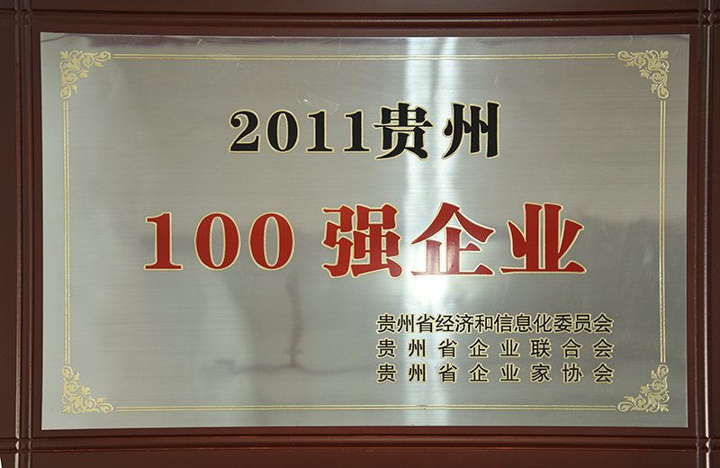 201112 2011年贵州100强企业.JPG