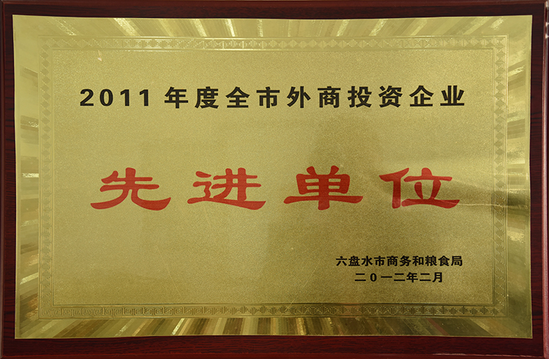 201202 2012年度全市外商投资企业先进单位.JPG
